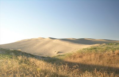 The Great Sand Hills, Saskatchewan