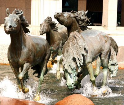 The Mustangs of Las Colinas, February 2008