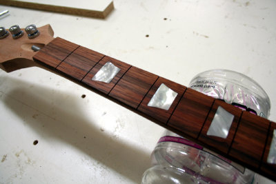 trapizoid_inlays