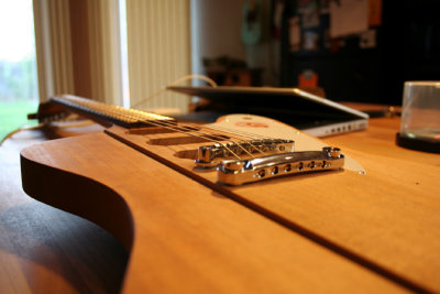 fretted