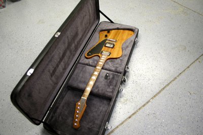 dave_hs_firebird
