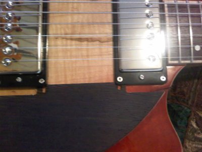pickguard mounting.jpg