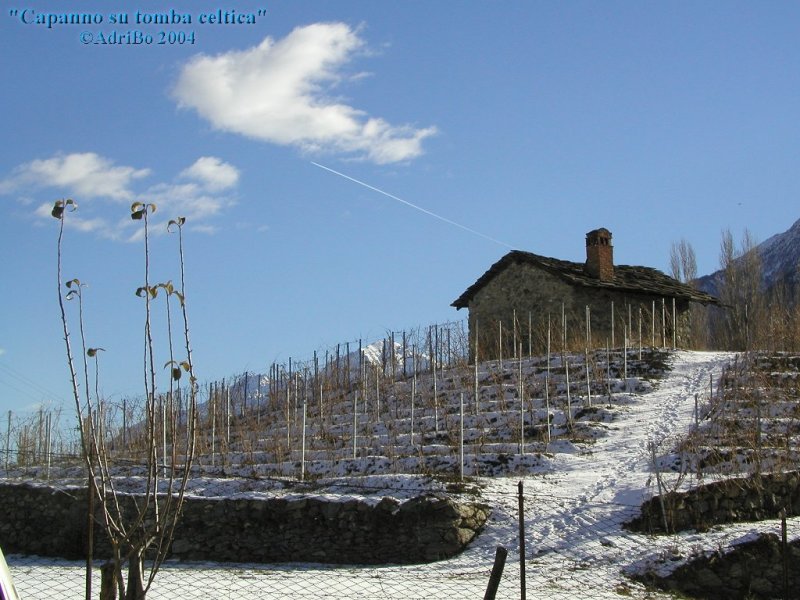 Winter vineyard - Vigna dinverno, Aosta valley, Italy