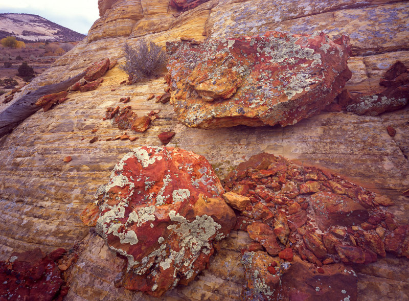 27 Boulder-Notom Road, Utah rocks 1