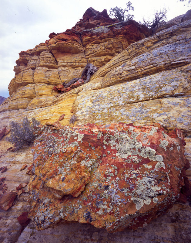 28 Boulder-Notom Road, Utah rocks 2