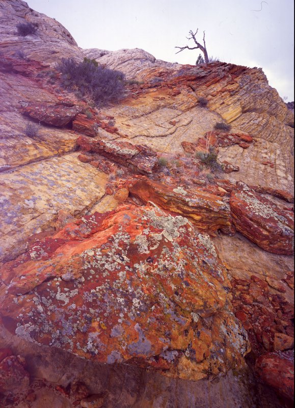 33 Boulder-Notom Road, Utah rocks 7