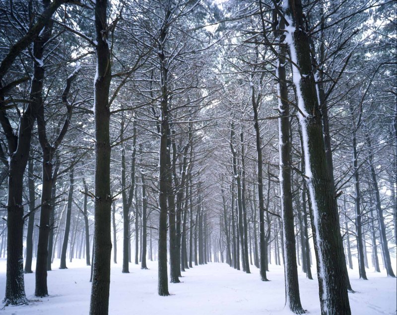 19 Moraine Hills State Park