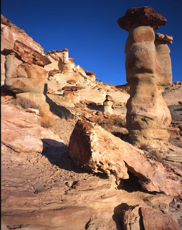 Glen Canyon Natl Recreation Area