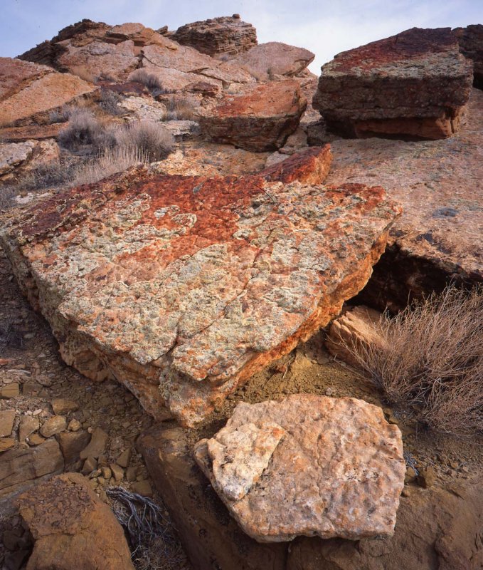 Glen Canyon Natl Recreation Area