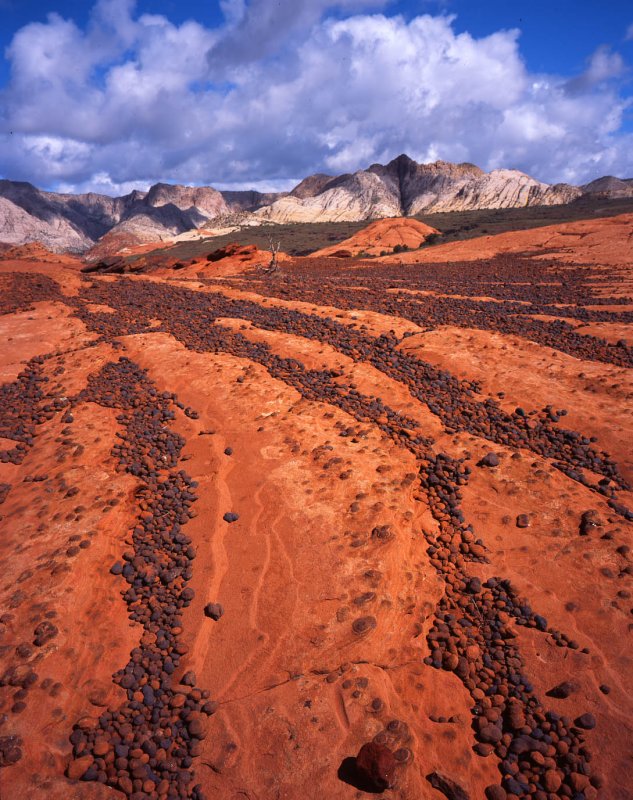 Snow Canyon SP, Utah