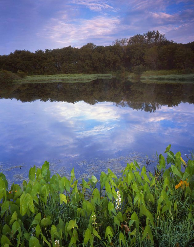 Boone Creek, McHenry, IL