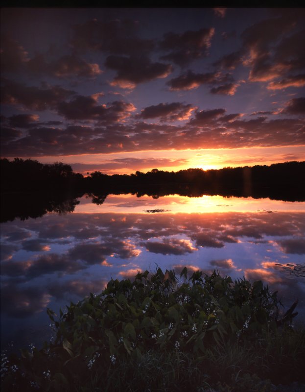 Snug Harbor, McHenry, IL