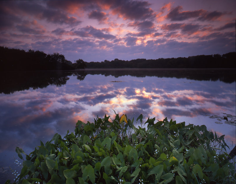 Snug Harbor, McHenry, IL