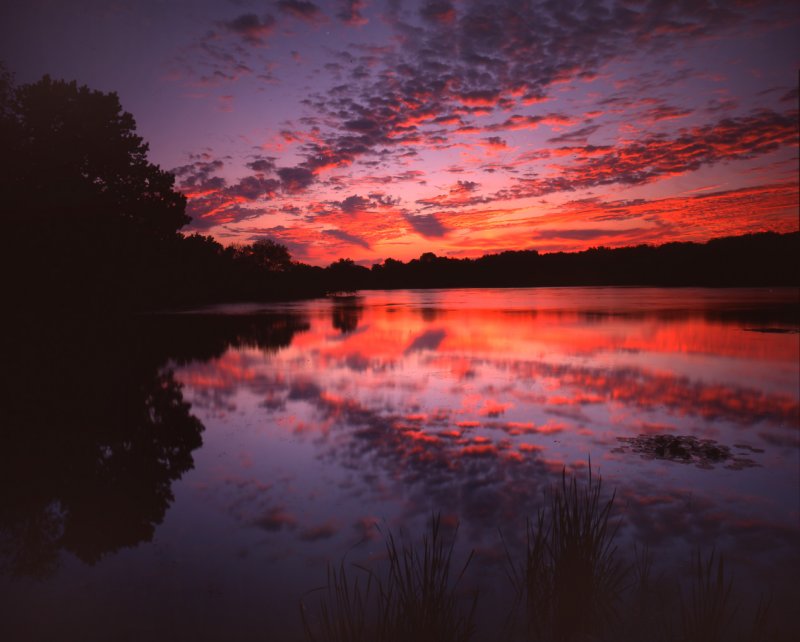 Snug Harbor, McHenry, IL