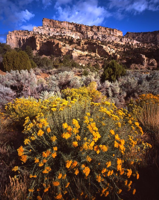 Devils Garden