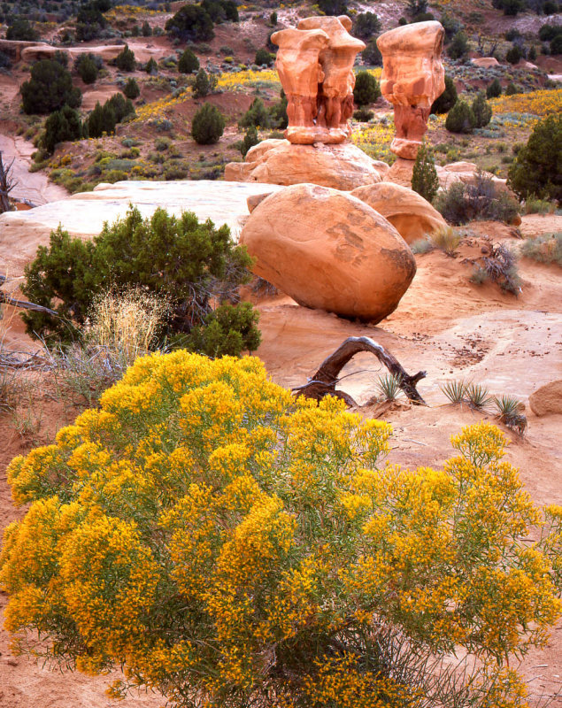 Devils Garden