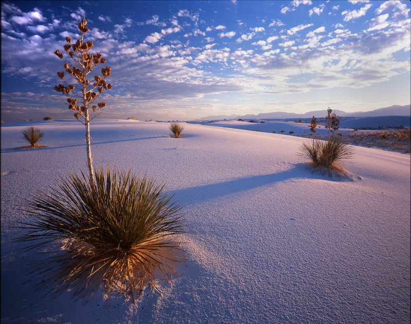 White Sands National Monument