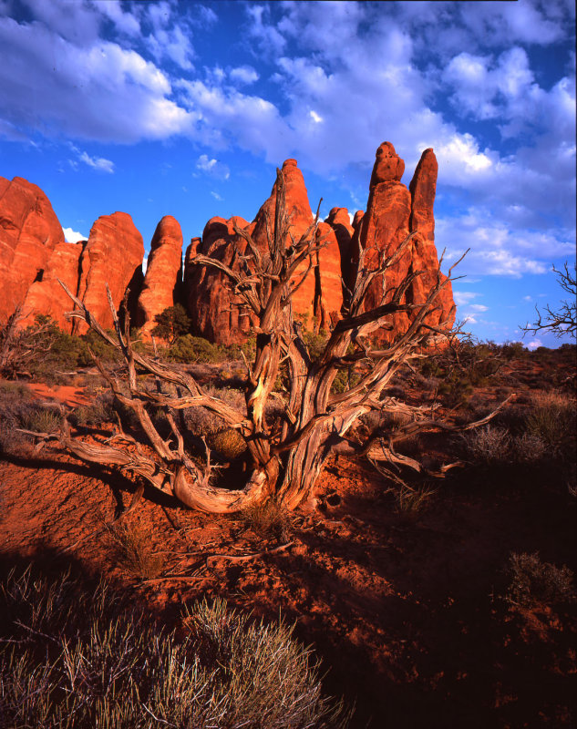 Arches National Park, Utah