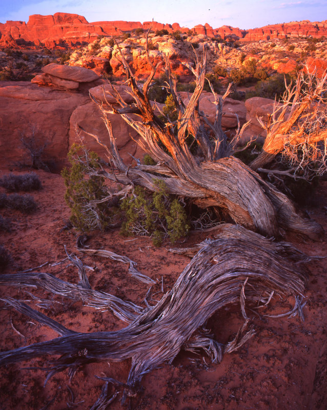 Arches National Park, Utah