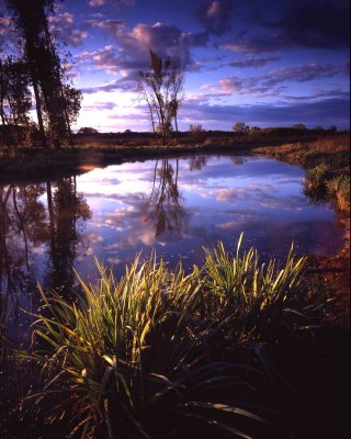 99 Glacial Park, McHenry County, IL