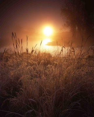 100 Glacial Park, McHenry County, IL