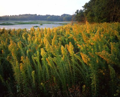 28 Moraine Hills State Park