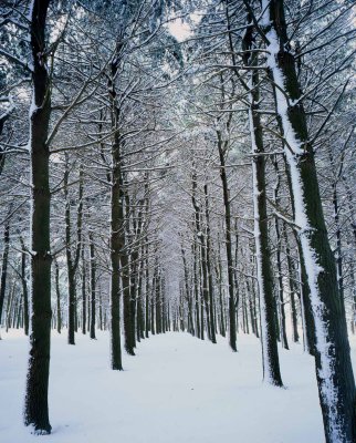 23 Moraine Hills State Park