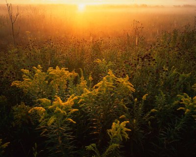 September, Moraine Hills SP