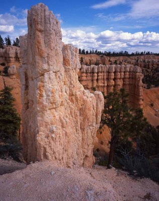 Fairyland Canyon