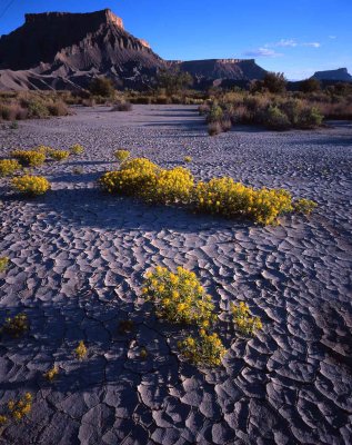 Luna Mesa, Utah