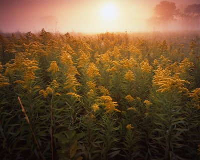 September, Glacial Park