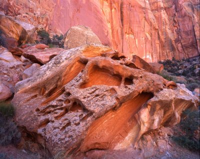 Capitol Reef NP, Utah