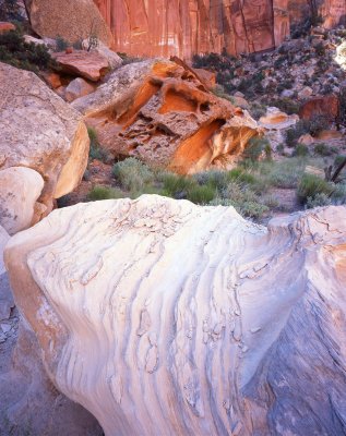 Capitol Reef NP, Utah