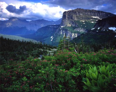 glacier_national_park