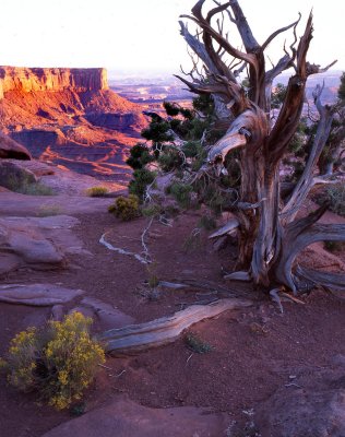 Green River Overlook, Canyonlands NP