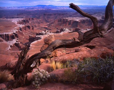 White Rim Overlook Trail, Canyonlands NP