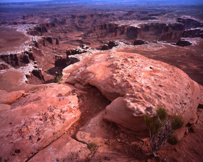 White Rim Overlook Trail, Canyonlands NP