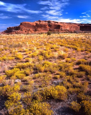 HWY 313 near Canyonlands NP