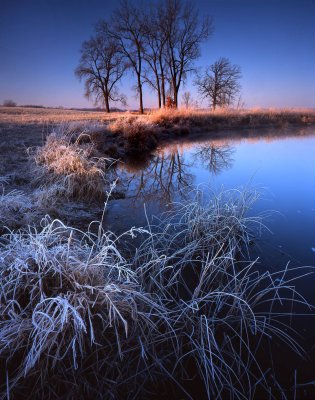 Glacial Park sunrise, McHenry Co