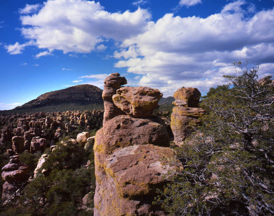 Chiricahua National Monument