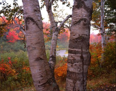 Baxter State Park, ME