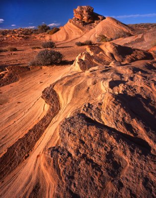 Watershole Canyon Tribal Park, AZ