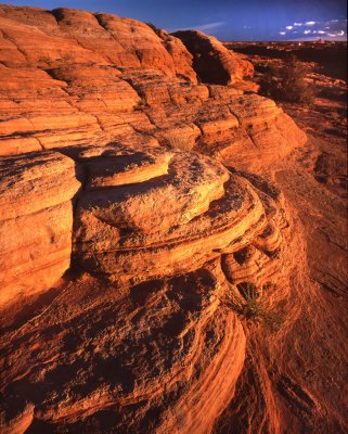 Watershole Canyon Tribal Park, AZ