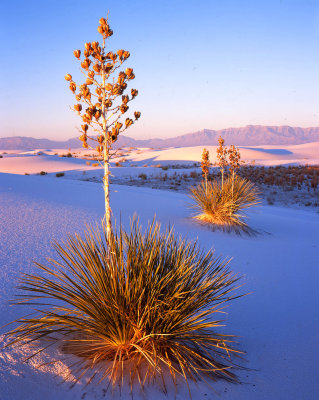 White Sands National Monument