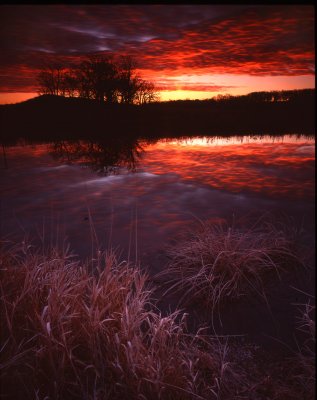 Glacial Park sunrise, McHenry Co., IL