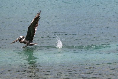 IMG_0679.JPG