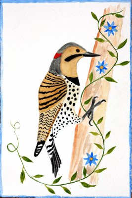 Northern Flicker