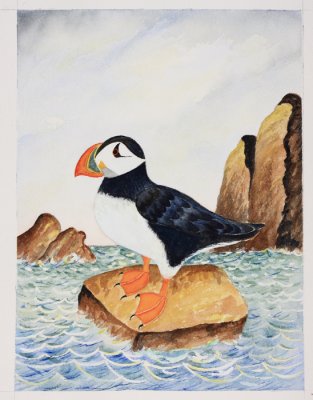 Atlantic Puffin