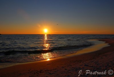 DSC_1088-zoner II_filtered.jpg