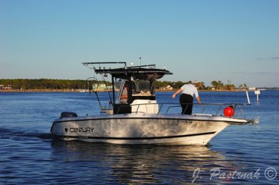 DSC_0781-zoner.jpg